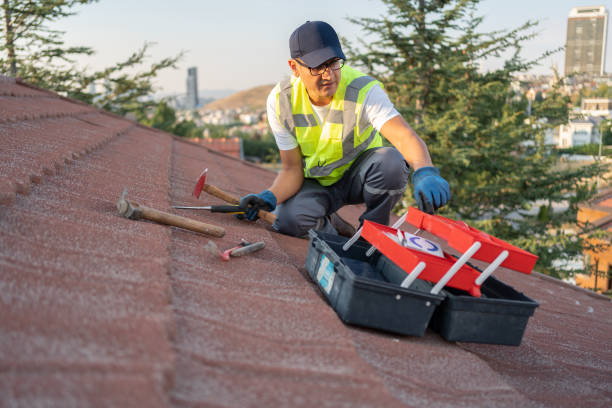 Best Insulated Siding Installation  in New Middletown, OH