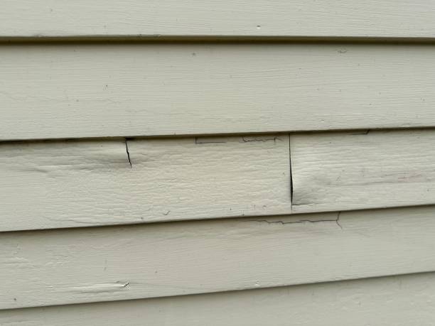 Best Engineered Wood Siding  in New Middletown, OH